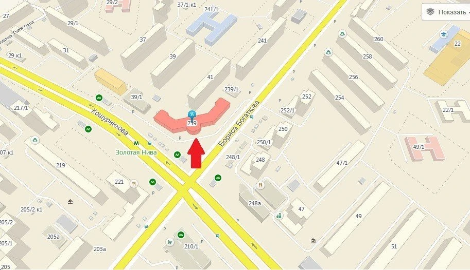 золотая нива2 золотая нива2