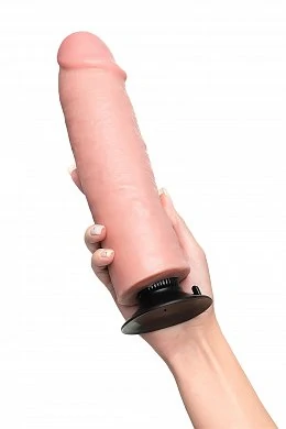 43369753-336e-4312-82b8-bcfed6cba2f0