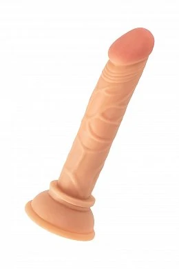 25ae387e-64de-4021-9b86-ae54e7f3215c