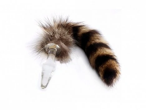 1155----9-----------2