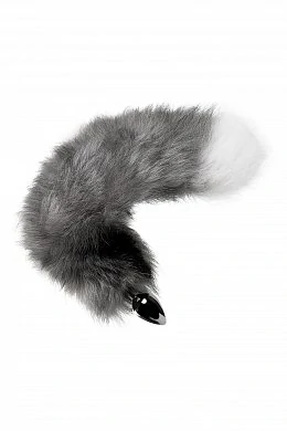 a001149e-7670-43ea-ae96-abe3bb955975