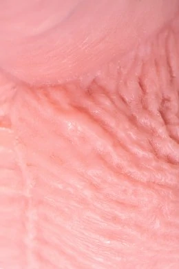 40ef00ee-e723-4e73-9dd6-7222f08ccd35