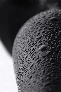 7f746e7a-19ed-4412-8830-34bf7a4f0e92