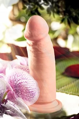 3f3152c0-7a73-43f6-92d7-b11ddf47a56e