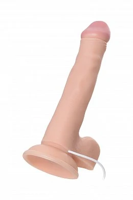 447ea384-379a-4897-9456-4e7264386338