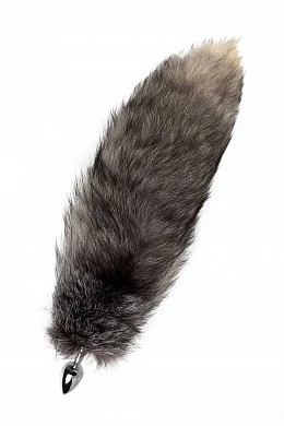 3818ee65-7327-43c2-acc9-ef83c7df58d9