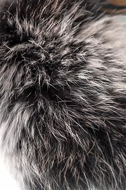 0e74c139-ff3e-44d6-bbb9-914fa4b8c420