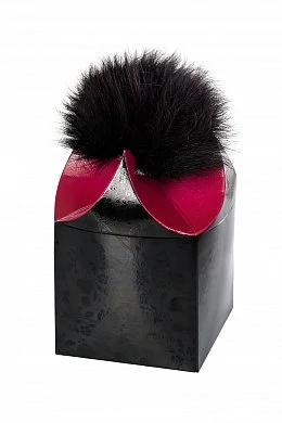 1dec1954-5b80-4f06-a1e4-b0f0a77626b8