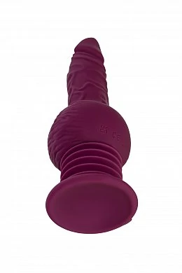 bd81e26a-81f8-4c8a-8dc2-1a8bc258e479