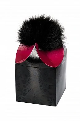 42bafdc3-c9fa-4f41-906d-e38128647083