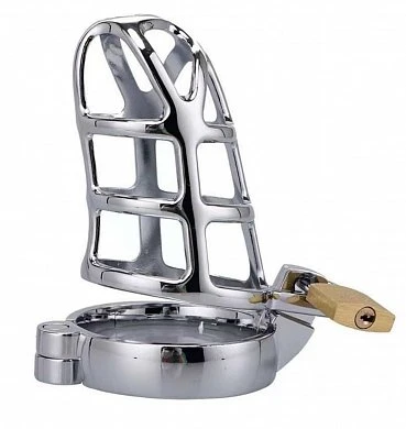 61MQ8jWENGL._AC_UL1200_QL65_