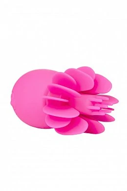 800x1200-1635c4b7a326b926b50425e8a174cc4a