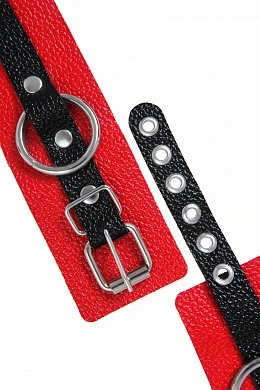 87024123-1107-4d1f-ab8d-d4f671d9c020