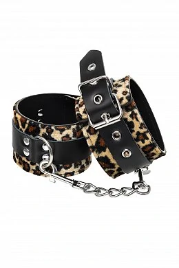 da4aa23f-7317-448c-8ad1-e773ed76b75b