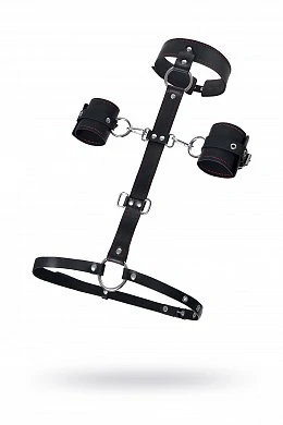 5b50bae2-7a47-4311-a400-d53e8d255c13