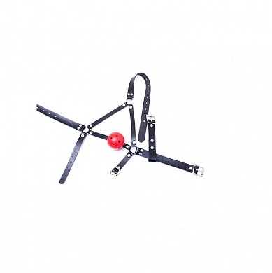 кляп с крепл 1