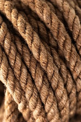 c44d276e-7913-4df5-9358-fccc4d9e339a