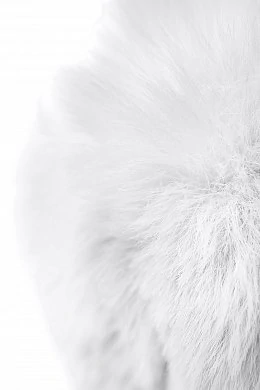 d3c900f6-da9e-4cbd-9756-5147b50f82e1