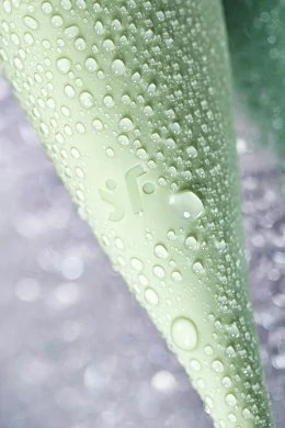 4d31de56-664f-46ef-8c29-4845ee32b686