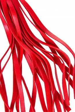 7538f7ae-60e2-40c7-9d49-7e42c7b94e7f