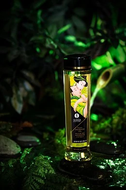 9e949feb-aba5-4b1e-a054-4fe607923451