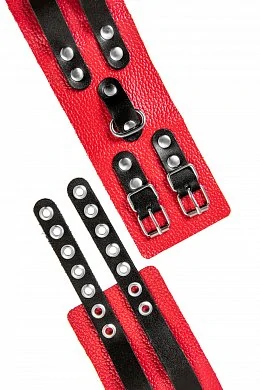 012f996d-ac67-47da-8695-80c25486f63b