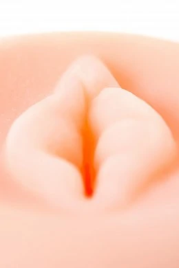 a27d56e0-9496-4414-872b-8a208b6eda12