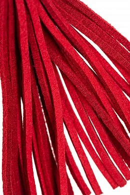 70f3875a-260c-43cd-bd3c-f69bd018dd6f