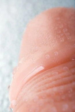 db4aba3b-c511-4d28-9c11-ceb77152bf35