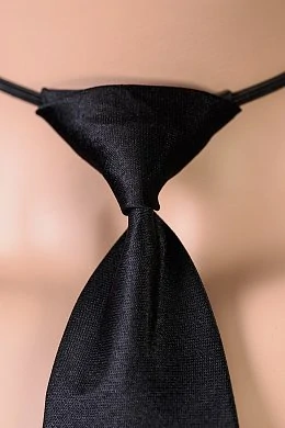 283ae8c3-0b38-4d4a-9269-da6f97830113