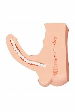 ea2a249e-bf29-4439-bfb9-15a1ecb06221