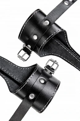 79991a65-e360-409f-9808-053c6e65d800