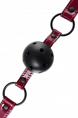 50cec797-2f9c-4c3f-8aaa-c14b08927003