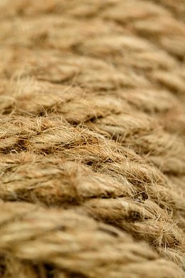 c4d4307b-9809-431f-b4cb-304f81114c1c