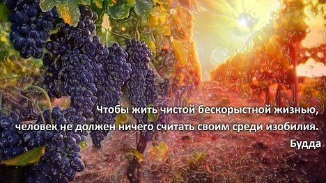 WhatsApp Image 2022-11-15 at 21.32.12