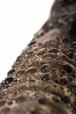 7b352bed-7564-4815-8dbe-38d0d43a0fec