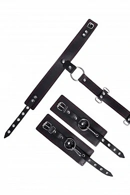 0f077209-c7d2-4707-835d-686d5e9bac44