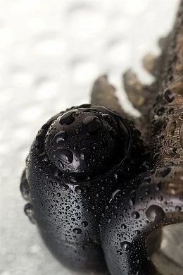 c9c6df9a-af47-4861-bdb6-044ff02d6bf0