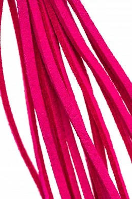 f03a3db0-afc7-4dae-9948-a81e96cb32cc