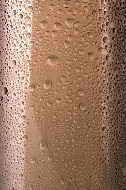 f4ec8179-3efa-451c-a695-89d59a63b765