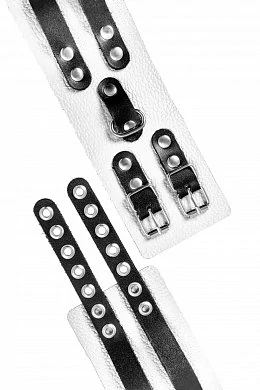 ebfe8c1b-aa0c-4978-a27c-b8ac1db80202