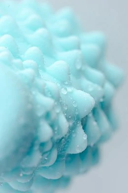 ed5d9c53-8a6b-4ccb-a010-33a8662f5fd4