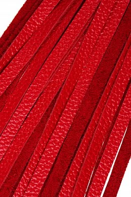 65b1d10c-108c-42ef-9230-215c96a0ba1b