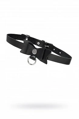 ea80ea54-f142-4f4c-a720-64e8a1ab817f