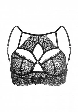 8b54804f-056d-48eb-8cc1-a6d13e87cc90