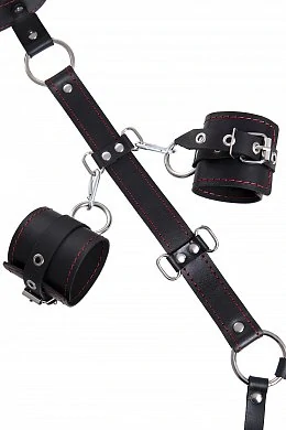 5caf14da-64ff-4c7a-9b1c-ad9c5688aba7