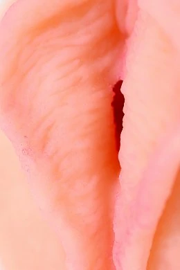 3f2a7815-8800-4652-9fad-30d21dbd3525