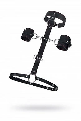 d9c95081-06bf-438b-8095-01d02ef76576