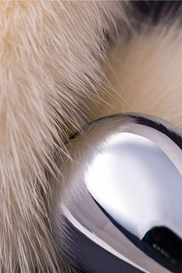 ba20292d-274a-4766-b39e-a9baff8136e9