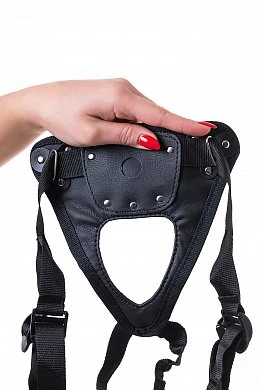 c8b27d08-2a2a-433b-b939-c8ab543f1ad9